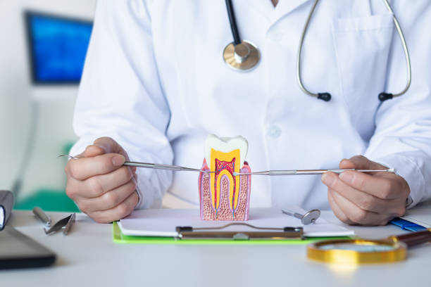 Best Emergency Treatment for Toothache in Golden Meadow, LA